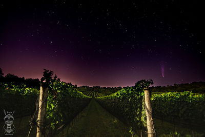 Scenic view of field against sky at night