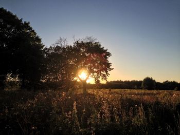 Scenic view of field against sky at sunset