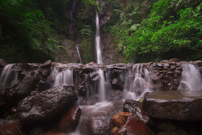 View of waterfall in forest