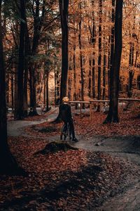 Rear view of boy on bicycle in forest