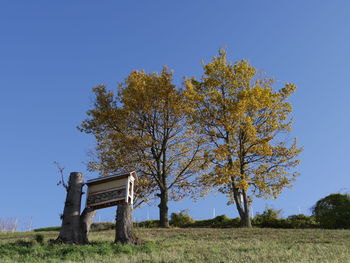 Tree on field against clear blue sky