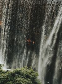 Mid distance view of friends standing amid waterfall in forest