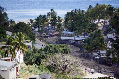 High angle view of palm trees by sea