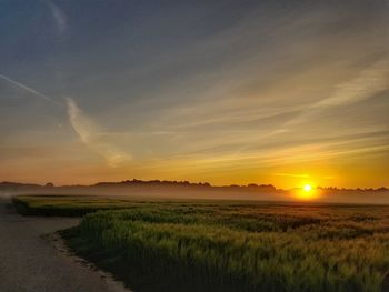 Scenic view of field against sky during sunset