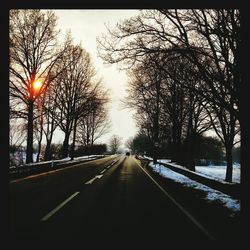 Road along trees at night