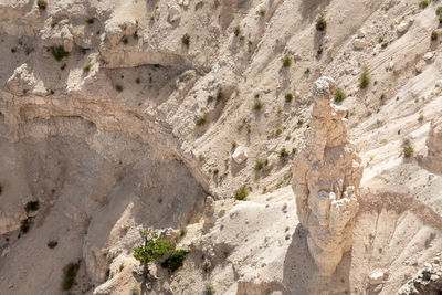 Single hoodoo at bryce canyon national park, utah