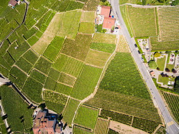 Drone shot of agricultural landscape