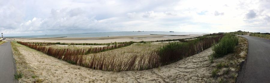 Panoramic shot of green landscape