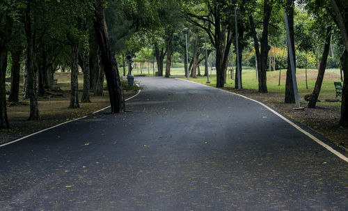 Empty road along trees in park