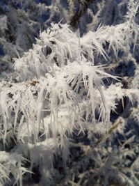 High angle view of snow