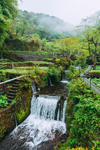 Scenic view of waterfall in forest