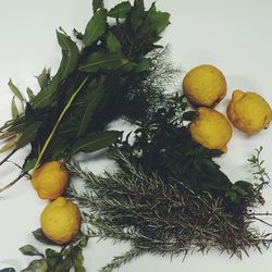 fruit