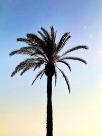 Low angle view of silhouette palm tree against sky