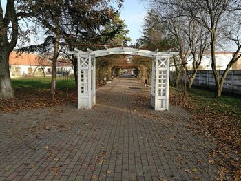 Footpath in park