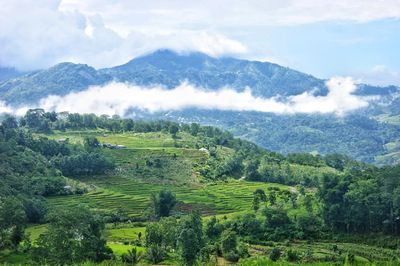 Scenic view of landscape against sky