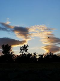 Silhouette trees on field against sky at sunset