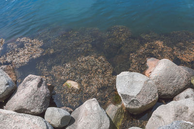 High angle view of pebbles at beach