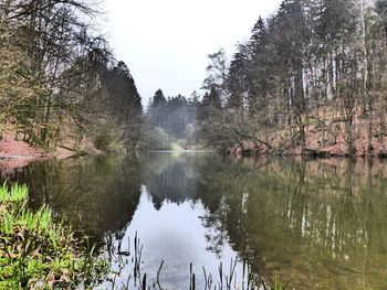 Scenic view of lake in forest against sky