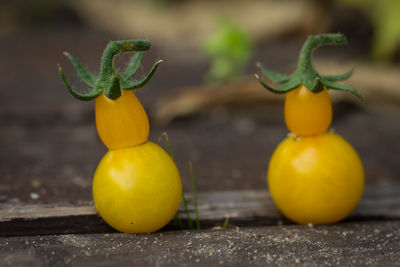 Close-up of yellow tomatoes