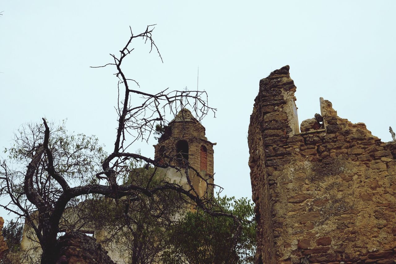 low angle view, sky, no people, built structure, tree, branch, architecture, outdoors, day, nature