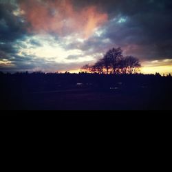 Silhouette of trees at sunset