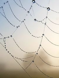 Low angle view of spider web against sky