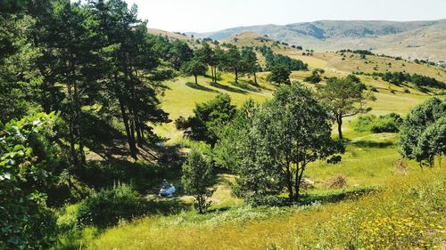 Scenic view of landscape