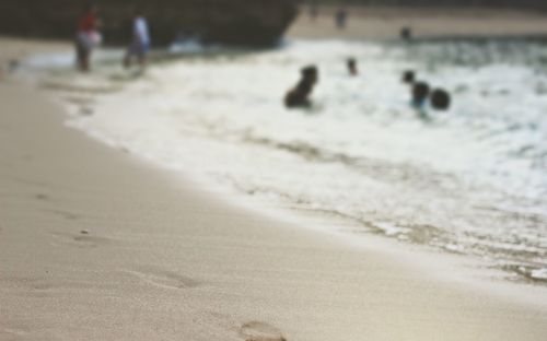 View of waves on beach