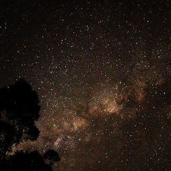 night