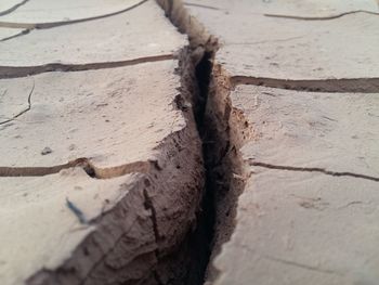 Close-up of wood on sand