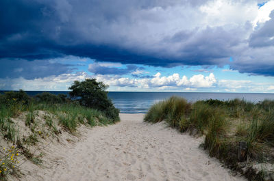 Footpath amidst grass at beach against cloudy sky