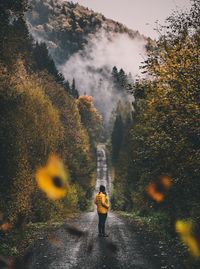 Rear view of woman standing on mountain in forest