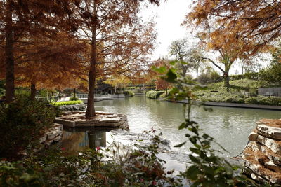 Scenic view of lake in park during autumn