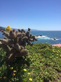 Scenic view of sea against clear blue sky