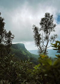 nature