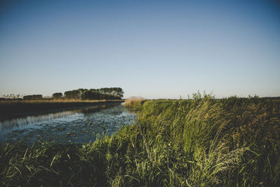 Scenic view of lake against clear sky