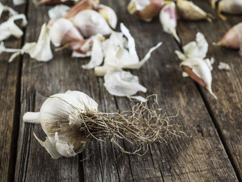 Close-up of garlic on wooden table