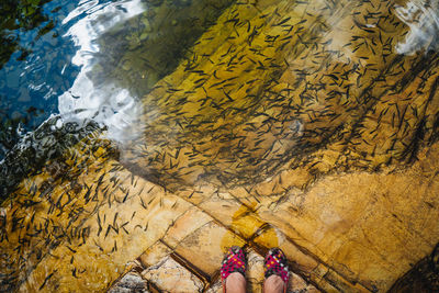 High angle view of people swimming in sea