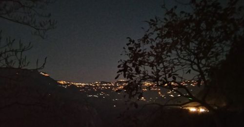 Illuminated tree against sky at night