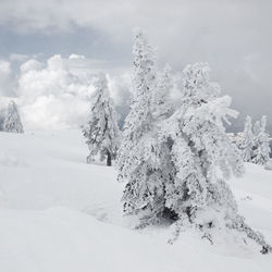 Scenic view of snow covered landscape