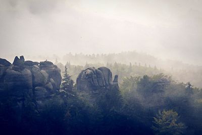 Rock formation amidst trees