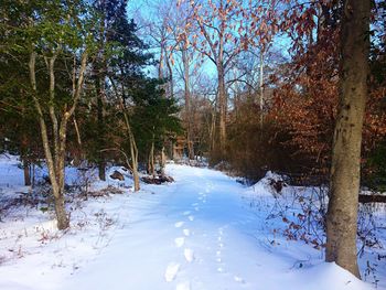 Scenic view of snow covered landscape