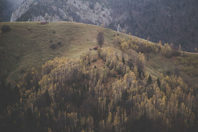 Full length of person standing on landscape against mountain