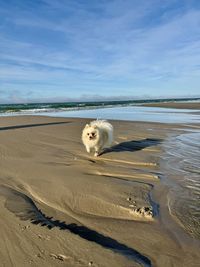 sand