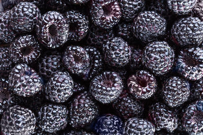 Full frame shot of blueberries