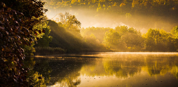 Lake fog landscape with autumn foliage and tree reflections in styria, thal, austria. autumn season 