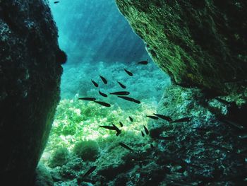 Rocks in sea