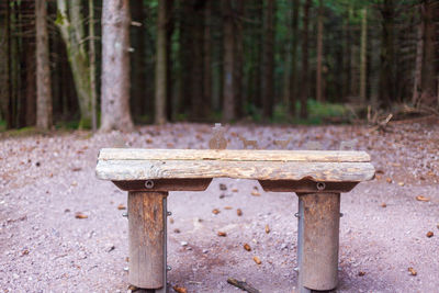 Empty bench in forest