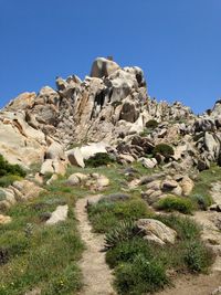 Scenic view of landscape against clear blue sky