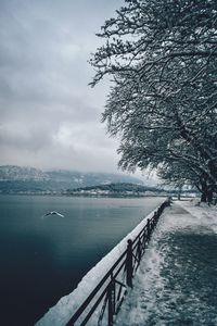 Scenic view of frozen lake against sky during winter